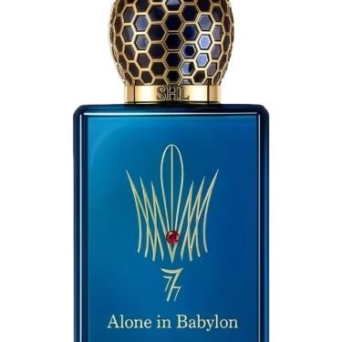 Alone in Babylon