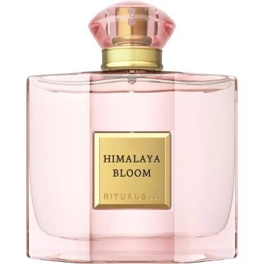 Himalaya Bloom