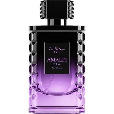 Amalfi Viola pour Homme