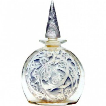 Iris Neige