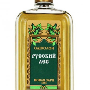 Russian Forest / Русский лес