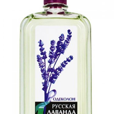 Russian Lavender / ру́сская лава́нда