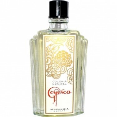 Goyesca
