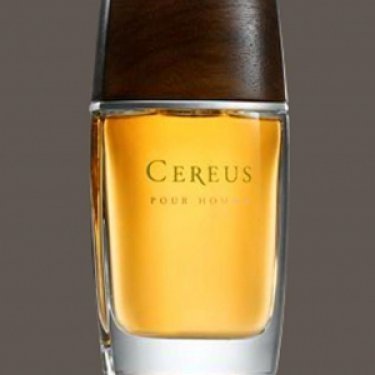 Pour Homme No. 11