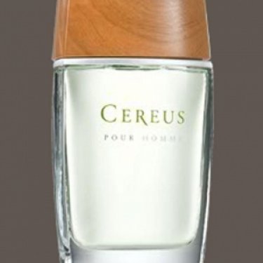 Pour Homme No. 5 / No. 6