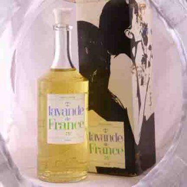 Lavande de France