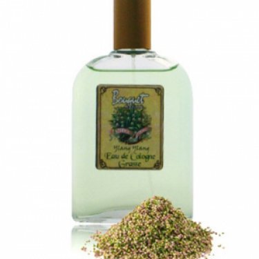 Bouquet de Grasse: Ylang Ylang