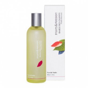 Baies des Champs / Field Berries