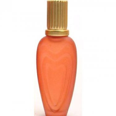 Un Été En Provence