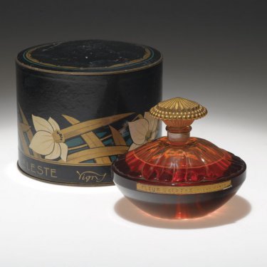 Fleur Celeste / La Narcisse de France