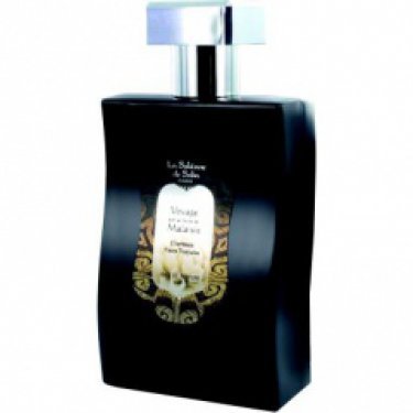 Voyage sur la Route de Malaisie: Champaka Fleurs Tropicales