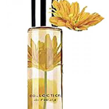 Collection de Fleurs: Joyful Bliss