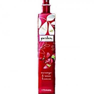 Morango e Rosas Brancas
