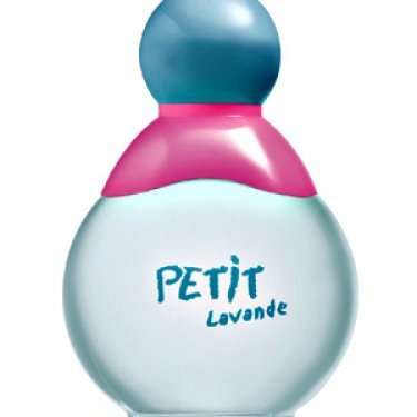Petit Lavande