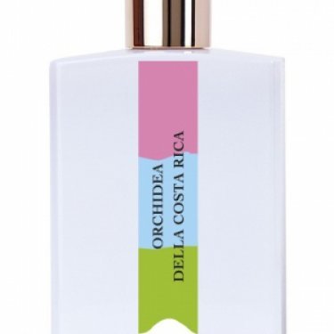Orchidea della Costa Rica