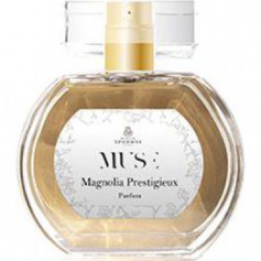 Collection Muse: Magnolia Prestigieux