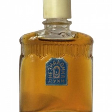 Neznakomka / Незнакомка