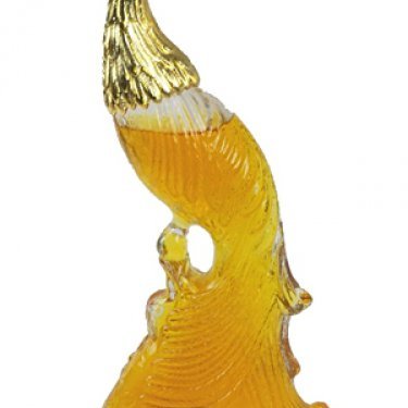 Bird of Paradise (Cologne)