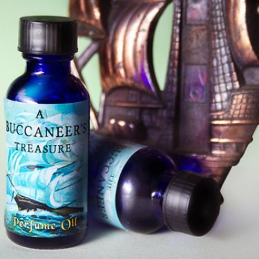 The Buccaneer's Treasure