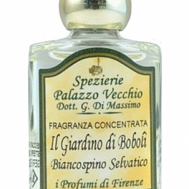 Il Giardino di Boboli - Biancospino Selvatico