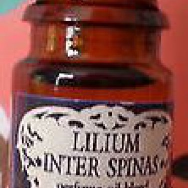 Ars Amatoria: Lilium Inter Spinas