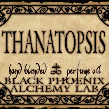 Ars moriendi: Thanatopsis