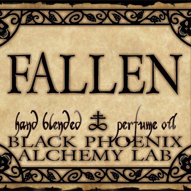 Sin and Salvation: Fallen
