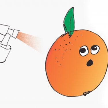 The Spray Tan Incident