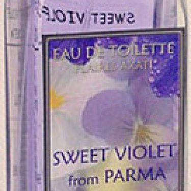 Sweet Violet from Parma