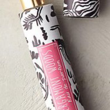 The Artist's Studio: Bergamot Woods