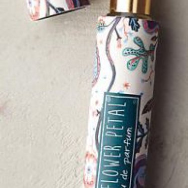 The Artist's Studio: Elderflower Petal