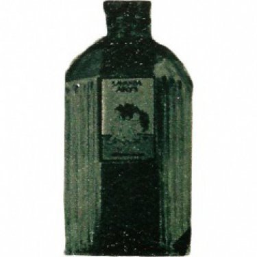 Lavanda