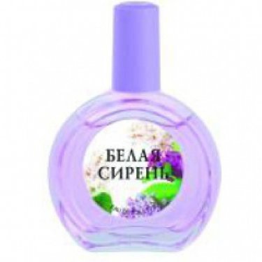 White Lilac / Белая Сирень
