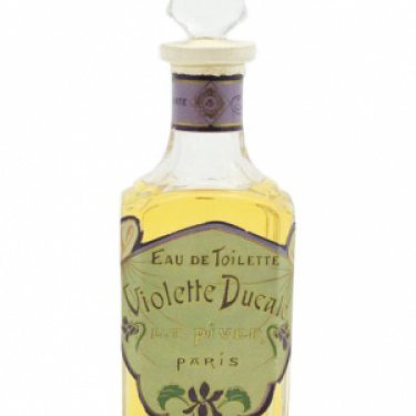Violette Ducale