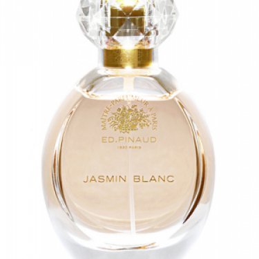 Jasmin Blanc