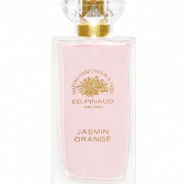 Jasmin Orangé