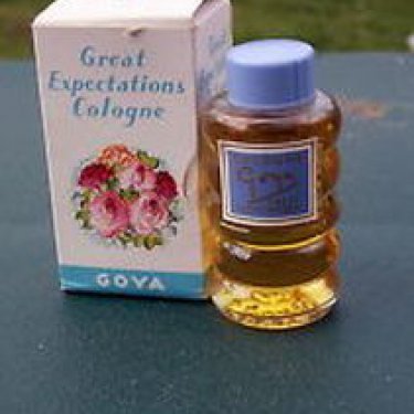 Great Expectations