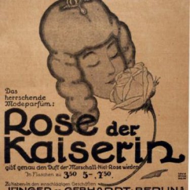 Rose der Kaiserin