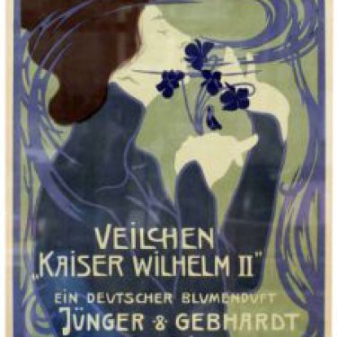 Veilchen ''Kaiser Wilhelm II''