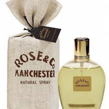 Rose & Co Manchester