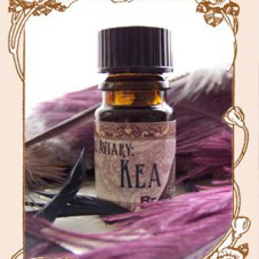 The Aviary: Kea