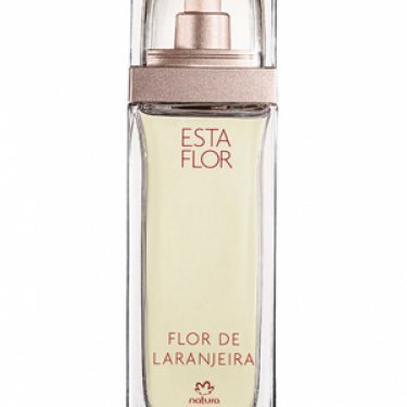 Esta Flor Flor de Laranjeira