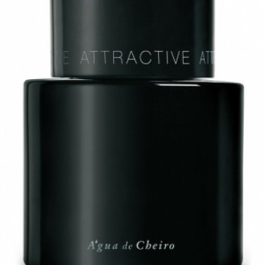 Attractive Masculino