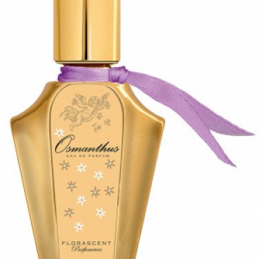 Les Petites Fleurs: Osmanthus