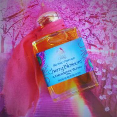 Cherry Blossom