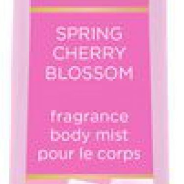 Take Me Away Spring Cherry Blossom