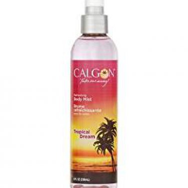 Take Me Away Tropical Dream