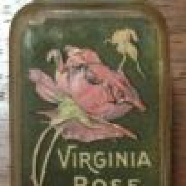 Virginia Rose