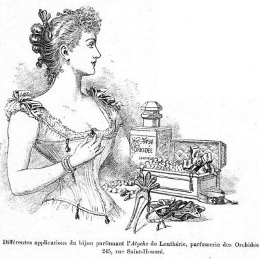 Orkidée