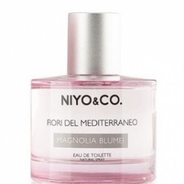 Fiori del Mediterraneo: Magnolia Blumei